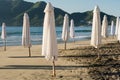 The white umbrellas are closed on the shore of the beach.