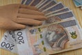 Polish money covered with a wooden hand Royalty Free Stock Photo