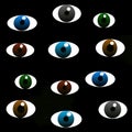 There are many different eyes on a black background