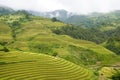 The scenery of terraced fields in Mu Cang Chai in the ripe rice season