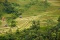 The scenery of terraced fields in Mu Cang Chai in the ripe rice season