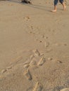 There are many footprints on the beach