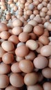 There are so many free-range chicken eggs that are sold, all that remains is to be chosen as a side dish for the community