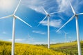 There are many high wind turbines on the field of yellow flowering canola, the concept of renewable energy Royalty Free Stock Photo