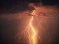 There are many lightning bolts against the black sky. Royalty Free Stock Photo