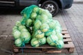 There are many sacks of cabbage on the pallet. Close-up. Royalty Free Stock Photo