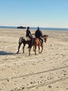 New york far rockaway mounted police officers patrol