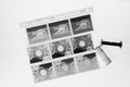 Medium Format Negatives With Roll of Film On Light Table Royalty Free Stock Photo