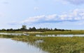 New york long island sunken meadow estuary activity