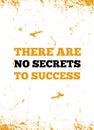 There are no secrets to success Motivational Quote poster for wall