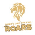 There is only one king who roars Royalty Free Stock Photo