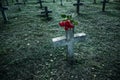 There are plenty of tombstones in the cemetery Royalty Free Stock Photo