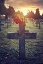 There are plenty of tombstones in the cemetery Royalty Free Stock Photo