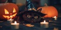 There is a pumpkin and candles next to a black cat wearing a witch hat Royalty Free Stock Photo