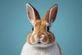 Cute Rabbit\'s Gaze The Curious World of Rabbits, Generative AI Royalty Free Stock Photo