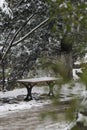 There is a red unmanned bench under the willow trees on the quiet lakeside of the beautiful snowscape of the campus