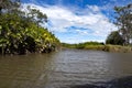 There is rich vegetation on the banks of the river Tempisque. Costa Rica Royalty Free Stock Photo
