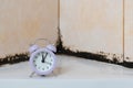 There`s a clock in the shower stall. On the background of silicone putty, black from mold. The concept of old age and the passage