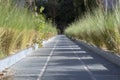 There`s grass on the left and right of the cobblestones. Royalty Free Stock Photo