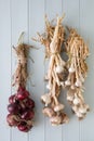 Onion plait and garlic plaits in rustic kitchen Royalty Free Stock Photo