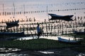 Sunset in Seaweed field, Nusa Lembongan, Bali, Indonesia. Royalty Free Stock Photo