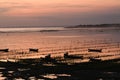 Sunset in Seaweed field, Nusa Lembongan, Bali, Indonesia. Royalty Free Stock Photo