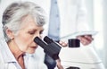 There seems to be a change or two. a focused elderly female scientist looking through a microscope while being seated in