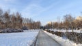 There is snow on the lawns and trees in the city park after the snowfall. Pedestrian paths have been cleaned. Behind the trees are Royalty Free Stock Photo