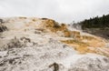 Mammoth Hot Springs, Yellowstone National Park, Montana State, USA.