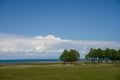 There are some prominent trees on the grassland under the blue sky and white clouds by the Qinghai Lake Royalty Free Stock Photo