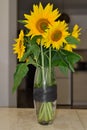 there are sunflowers in a vase on the kitchen table Royalty Free Stock Photo