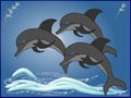 There are three dolphins which are jumping playing in the middle of ocean