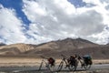 There are three touring bicycles at the foot of the mountain