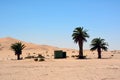 There is a toilet near three palm trees in the middle of the desert against the background of sand dunes and a blue sky Royalty Free Stock Photo