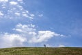 There is a tree on the green hillside under the blue sky and white clouds Royalty Free Stock Photo