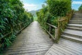 There are two birds on the wooden walkway. There are bamboos on both sides.