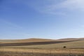 There are two brown wild horses eating grass at the foot of the mountain Royalty Free Stock Photo