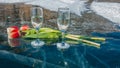 There are two glasses of champagne and three red tulips on the blue transparent ice of the frozen lake. Royalty Free Stock Photo