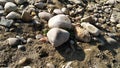 There are two stones one behind the other and so many pebbles around there