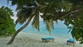 There are two sun loungers on the sandy beach. Palm trees bent over the calm aquamarine ocean.