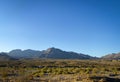 There are vast desert plants and high canyons alongside the Red Rock Canyon in Las Vegas.