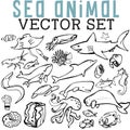 Sea Animal Vector Set with dolphins, whales, sharks, squid, fish, seahorses, crustaceans, and starfish.