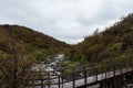 Wooden bridge over the small river