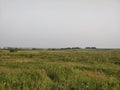 Fields outside the city on an autumn cloudy day