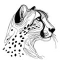 There is a white background with a black and white line drawing depicting the head of a cheetah.