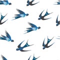 There are wonderful blue swallows on a white background.