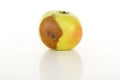 Is there worm in that apple? Royalty Free Stock Photo