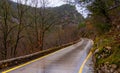 The forest road, wet from the falling rain, winds through the hills and goes into the distance