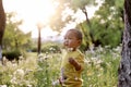 Happy joyful Asia Chinese little boy toddler child enjoy Spring have fun outside embrace nature outdoor carefree childhood flower Royalty Free Stock Photo