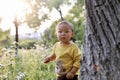 Happy joyful Asia Chinese little boy toddler child enjoy Spring have fun outside embrace nature outdoor carefree childhood Royalty Free Stock Photo